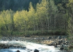 river-1.JPG (20888 bytes)