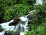 river.JPG (24028 bytes)
