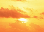 sunshine-3.jpg (11356 bytes)