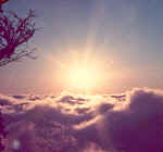 sunshine.jpg (22915 bytes)