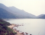 view.JPG (13461 bytes)